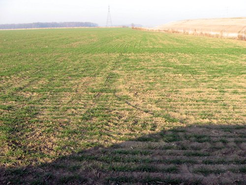 Property photo 10 - 60 Acres Offered in 2 Tracts